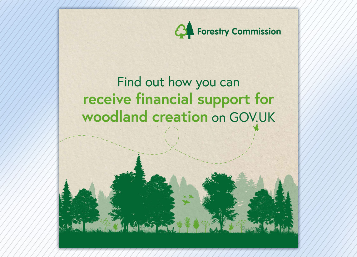 Forestry Commission Create Woodland carousel graphic